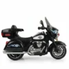 Harley Devidson BIKE