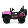 Pro25-02 Self Drive Car