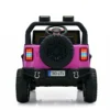 Pro25-04 Self Drive Car