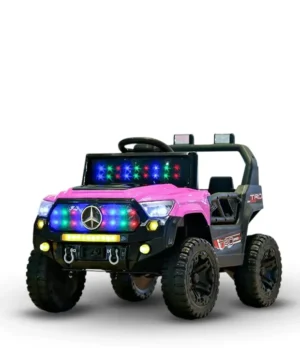 Pro25 Self Drive Car